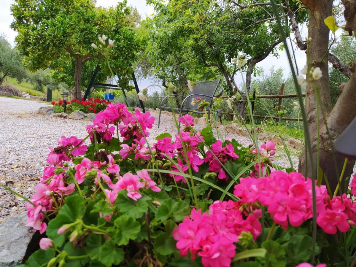 Casa Rural El Bonito Pension Cazalla de la Sierra Buitenkant foto